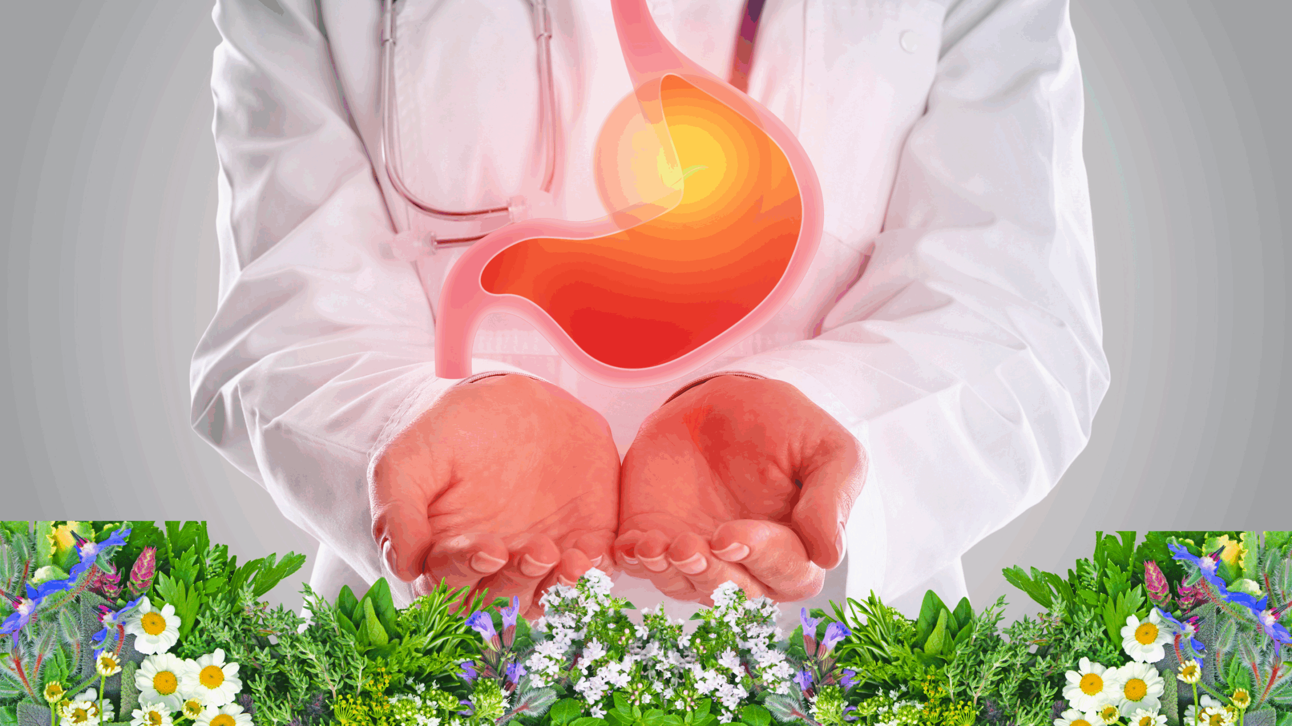 Natural Treatment for Acid Reflux: A Simple Guide to Healing Naturally