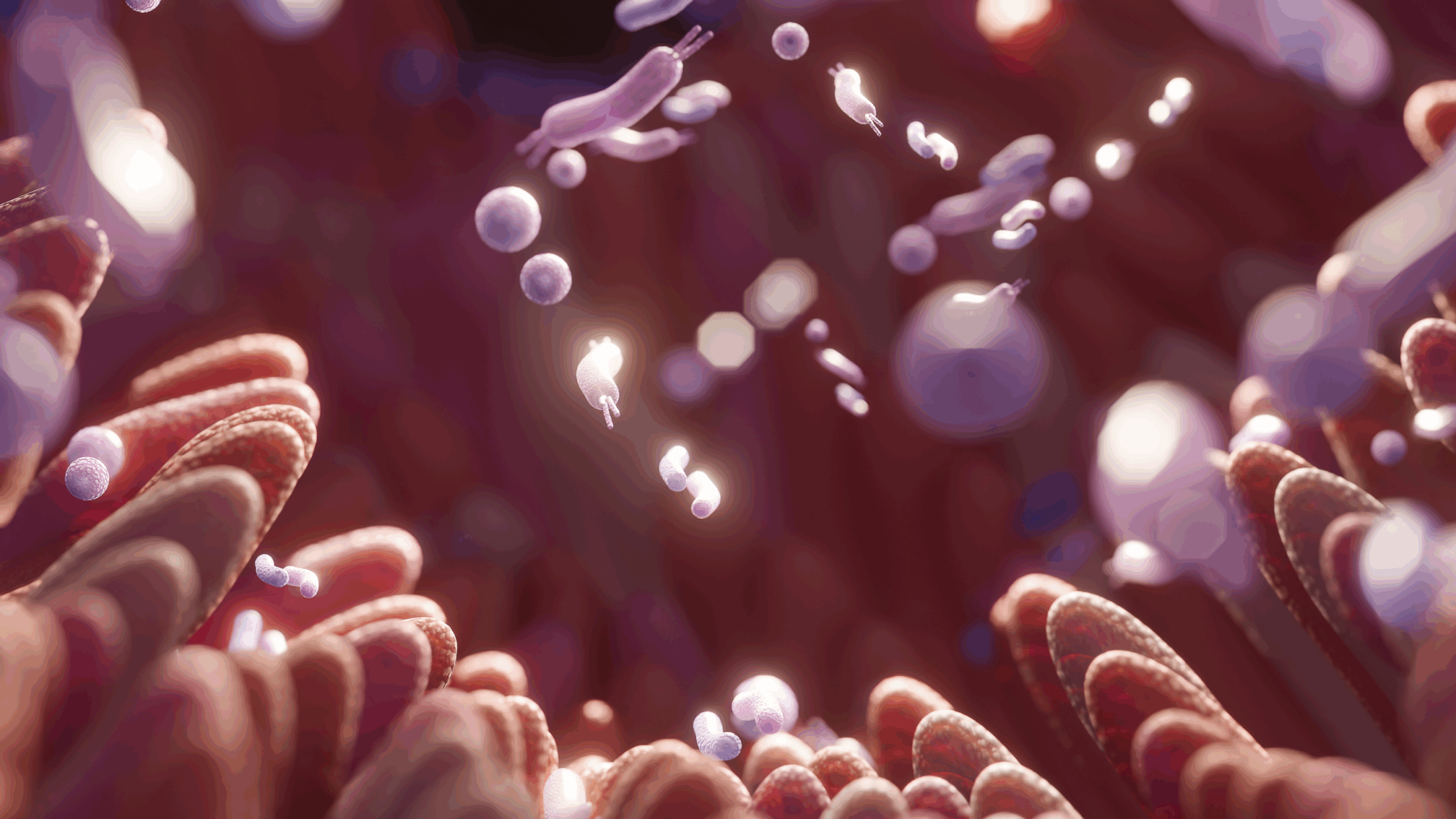 The Hidden Causes of Gut Issues You Might Be Overlooking