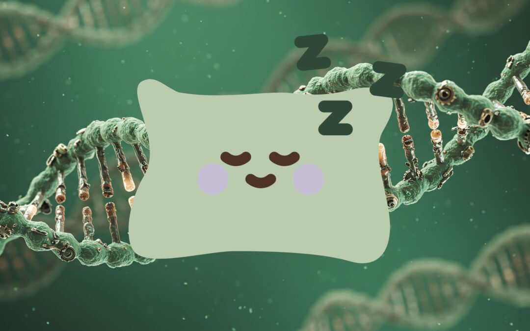 How MTHFR and COMT Affect Sleep Quality (and What You Can Do About It)