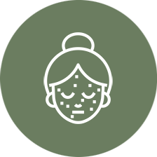 Icon 12