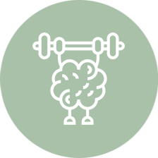 Icon 1