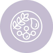 Icon 1