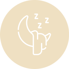 Icon 4